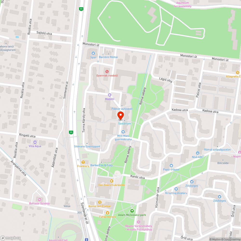 Zöldhulladék az Ányos utcában. bejelentés helye