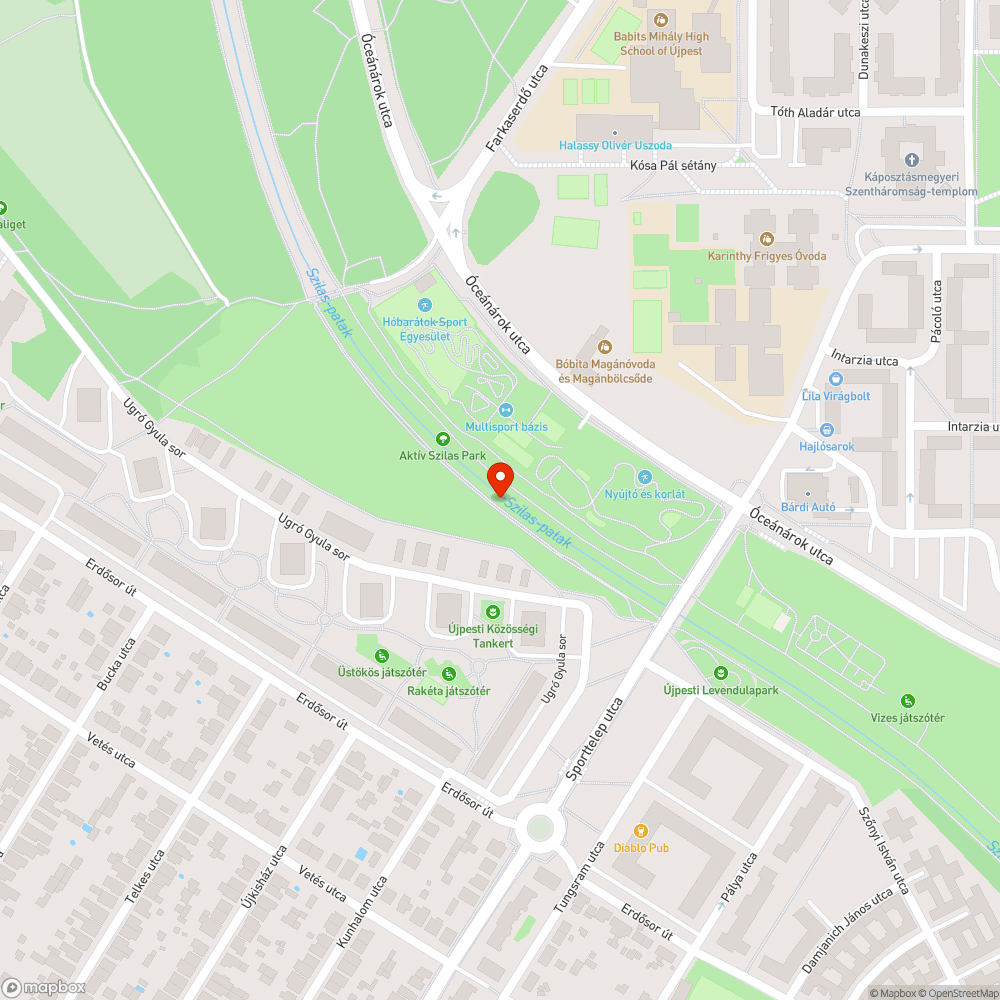 Szennyezett patakpart bejelentés helye