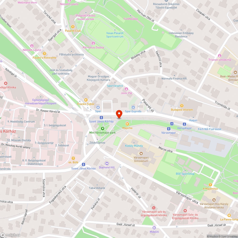 Balesetveszély a városmajori kerékpárút és a villamossínek találkozásánál bejelentés helye