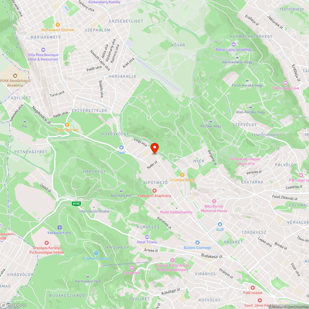 elhanyagolt zöldkazetta, eltömődött lefolyó bejelentés helye