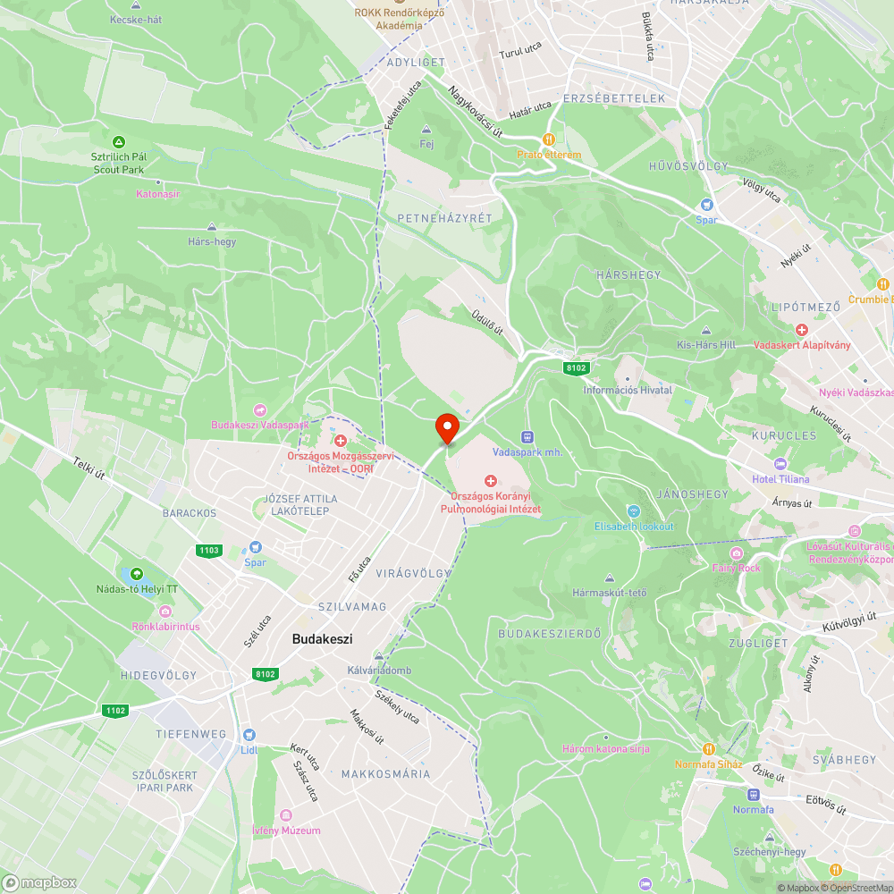 koszos utasváró, törött balesetveszélyes tető bejelentés helye