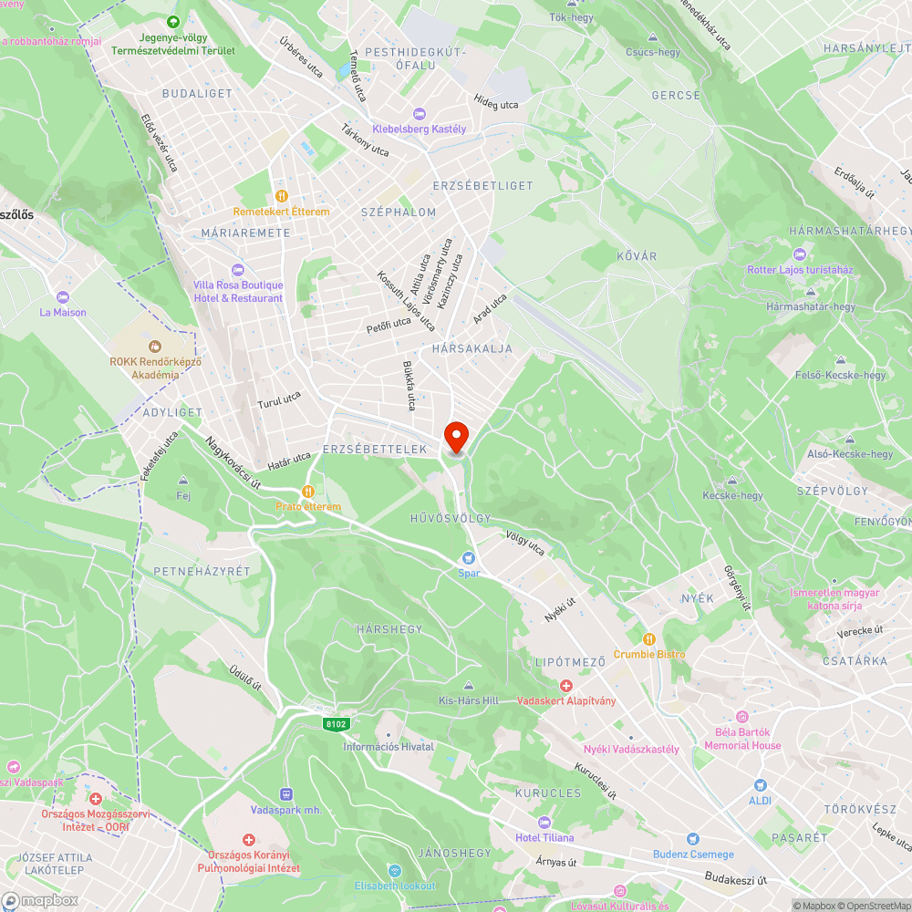 "Akadálymentes" parkoló bejelentés helye