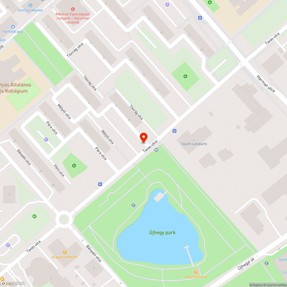 Tüskés, kiszáradt bokor járda mellett bejelentés helye