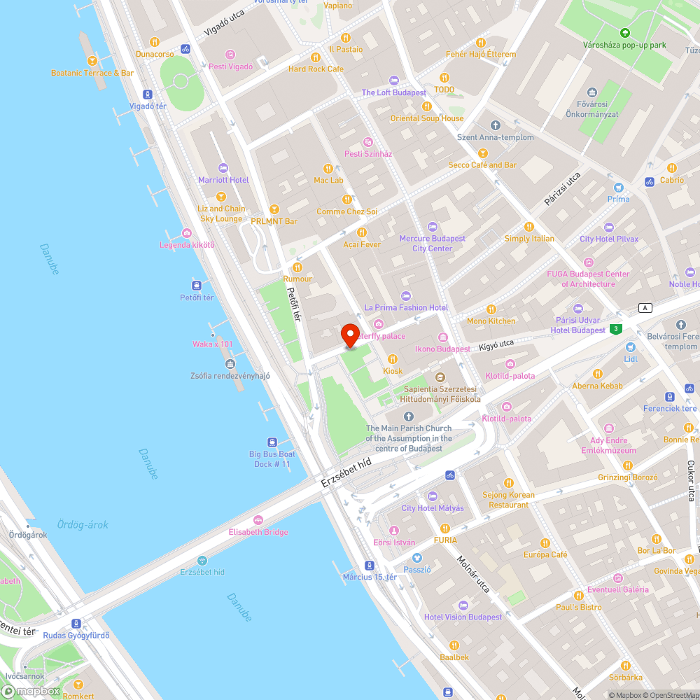 Leszakadt faág a Március 15-e téren bejelentés helye