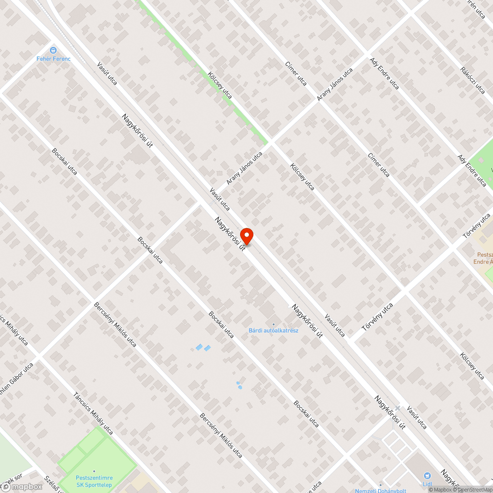 Bokros rész benőtt az útpályára. bejelentés helye