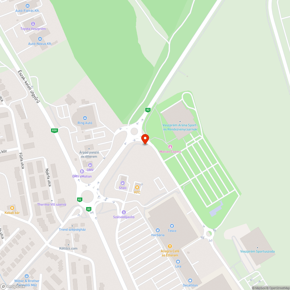 Időszakos kacsaúsztató az aluljáróban bejelentés helye