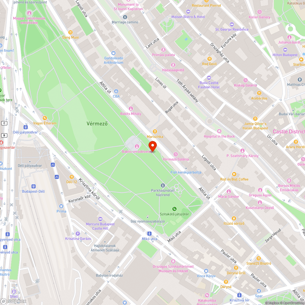 Kerékpárútra belógó bokrok bejelentés helye