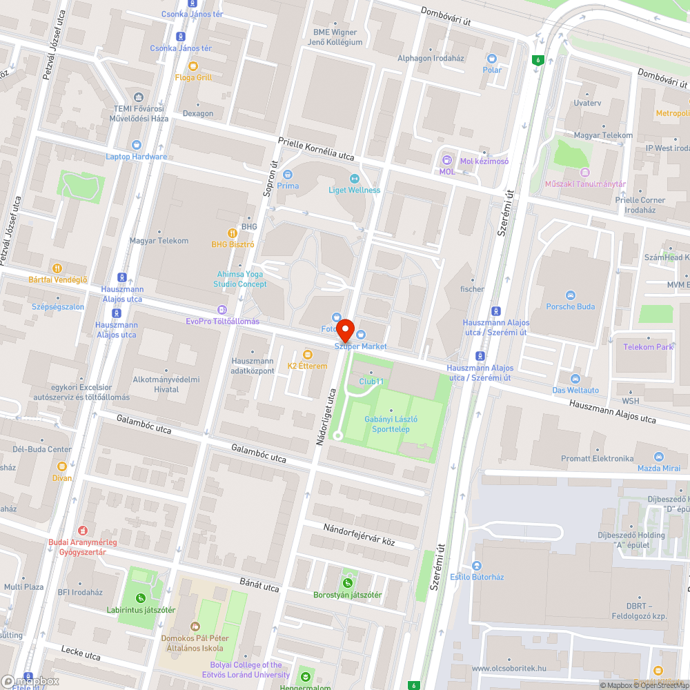 közterületen kivágott fa bejelentés helye