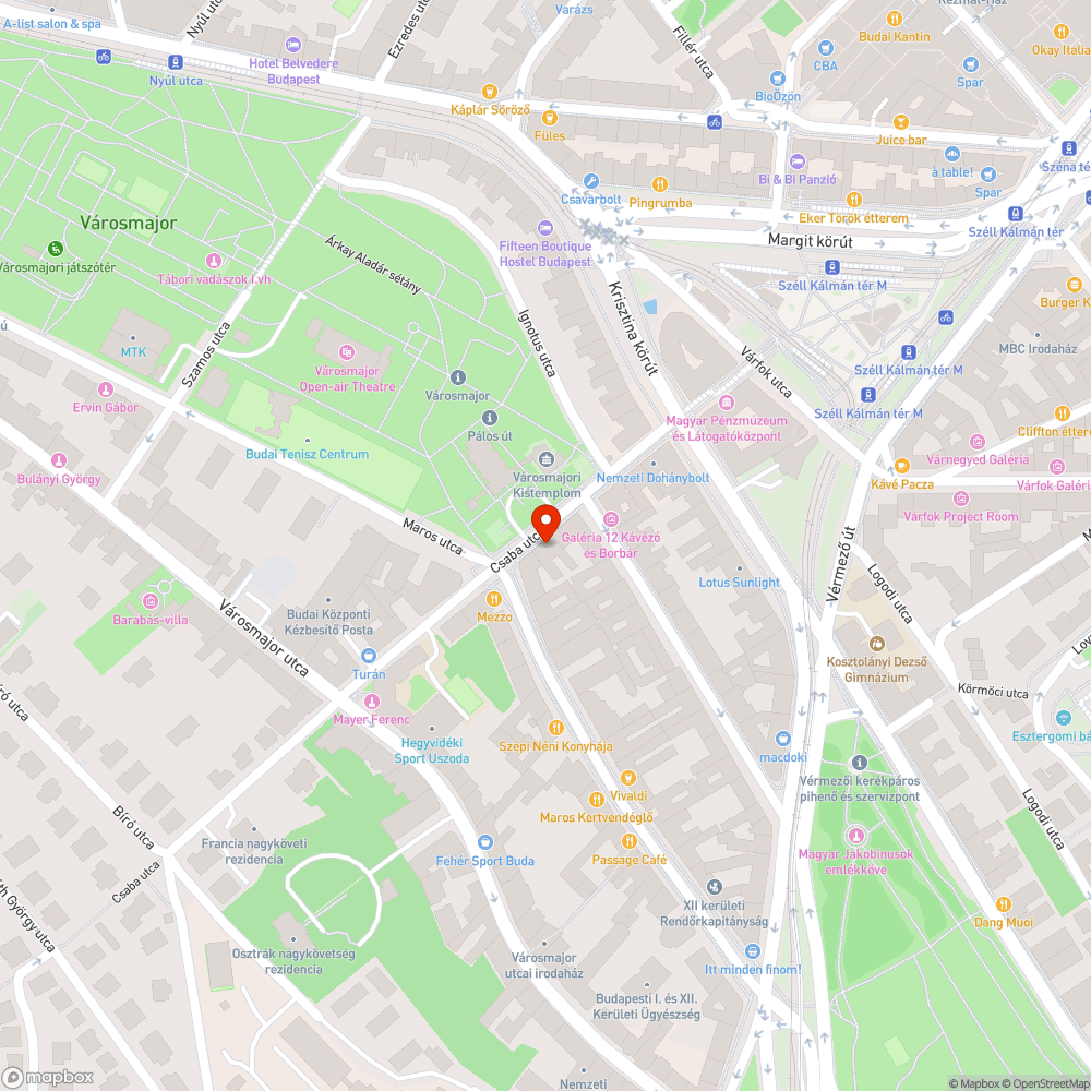 Hulladékkal szennyezett járda bejelentés helye