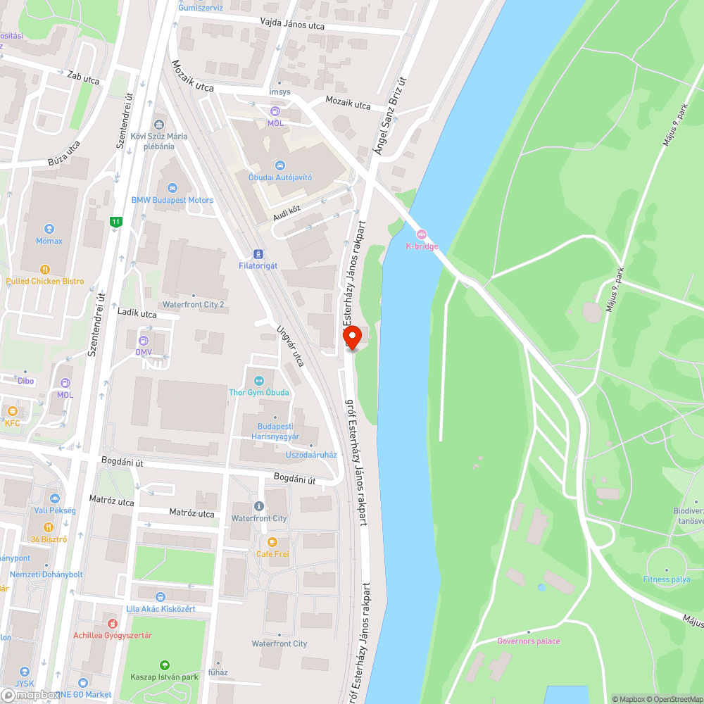 Kiszáradt, életveszélyes fa bejelentés helye