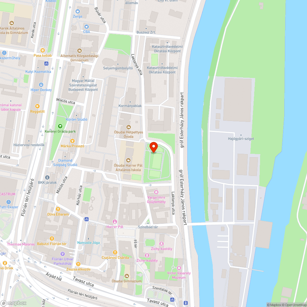 Kiszáradt fa a görkorcsolya pálya mellett bejelentés helye