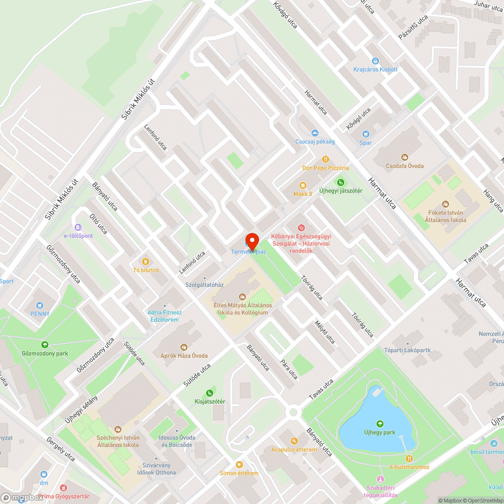 Kiszáradt fa az Újhegyi sétányon bejelentés helye