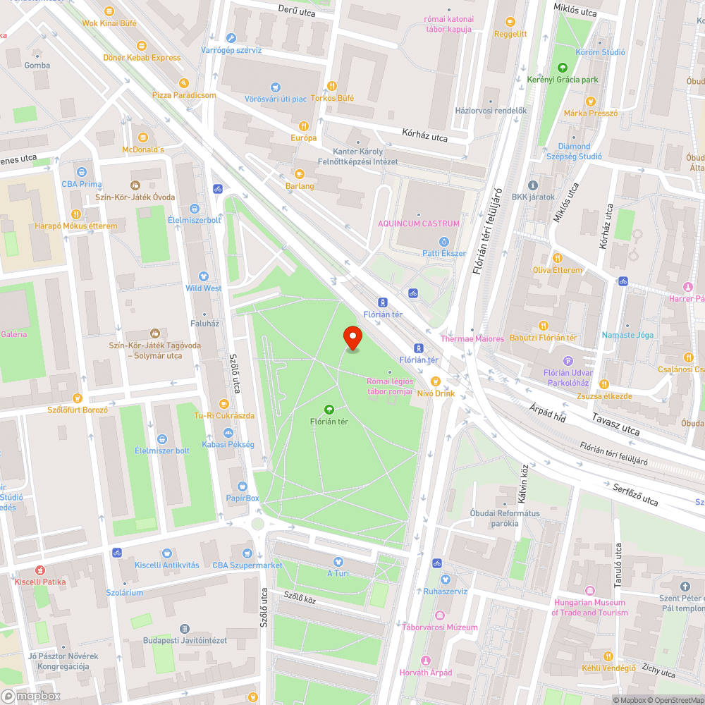 Járdára dőlt fa a Flórián téren bejelentés helye