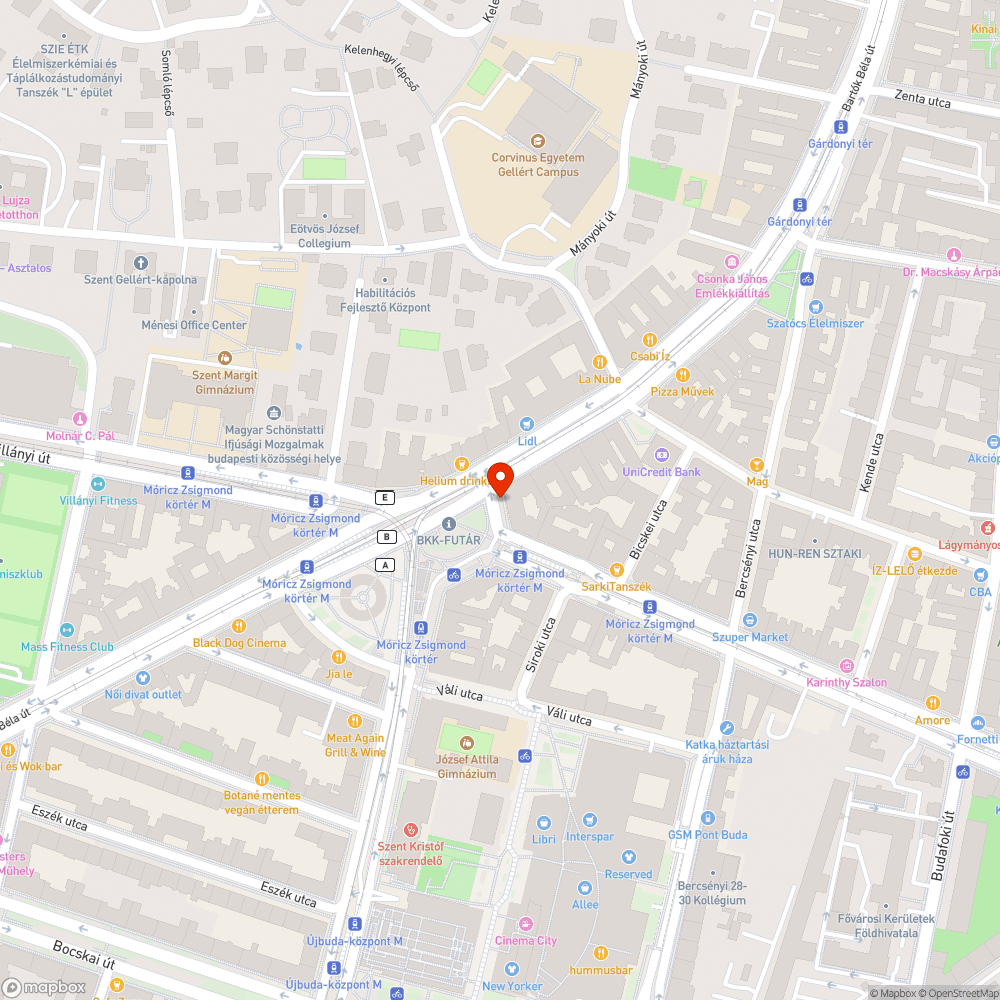 Fa tövén hónapok óta nő a csikk erdő, faág, madártetem  hetek óta stb - FŐKERT NONPROFIT ZRT. bejelentés helye