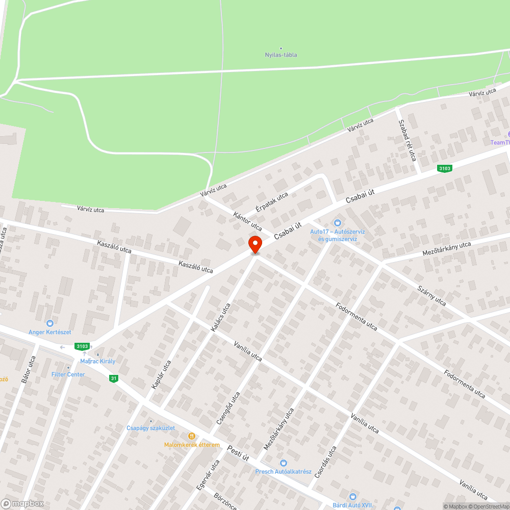 Lyuk bejelentés helye