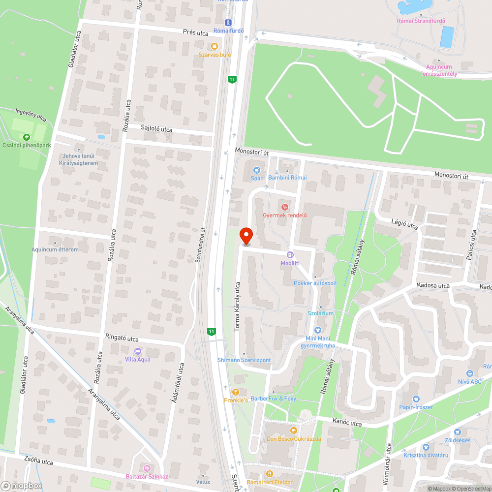 Kivágott fa maradványai bejelentés helye