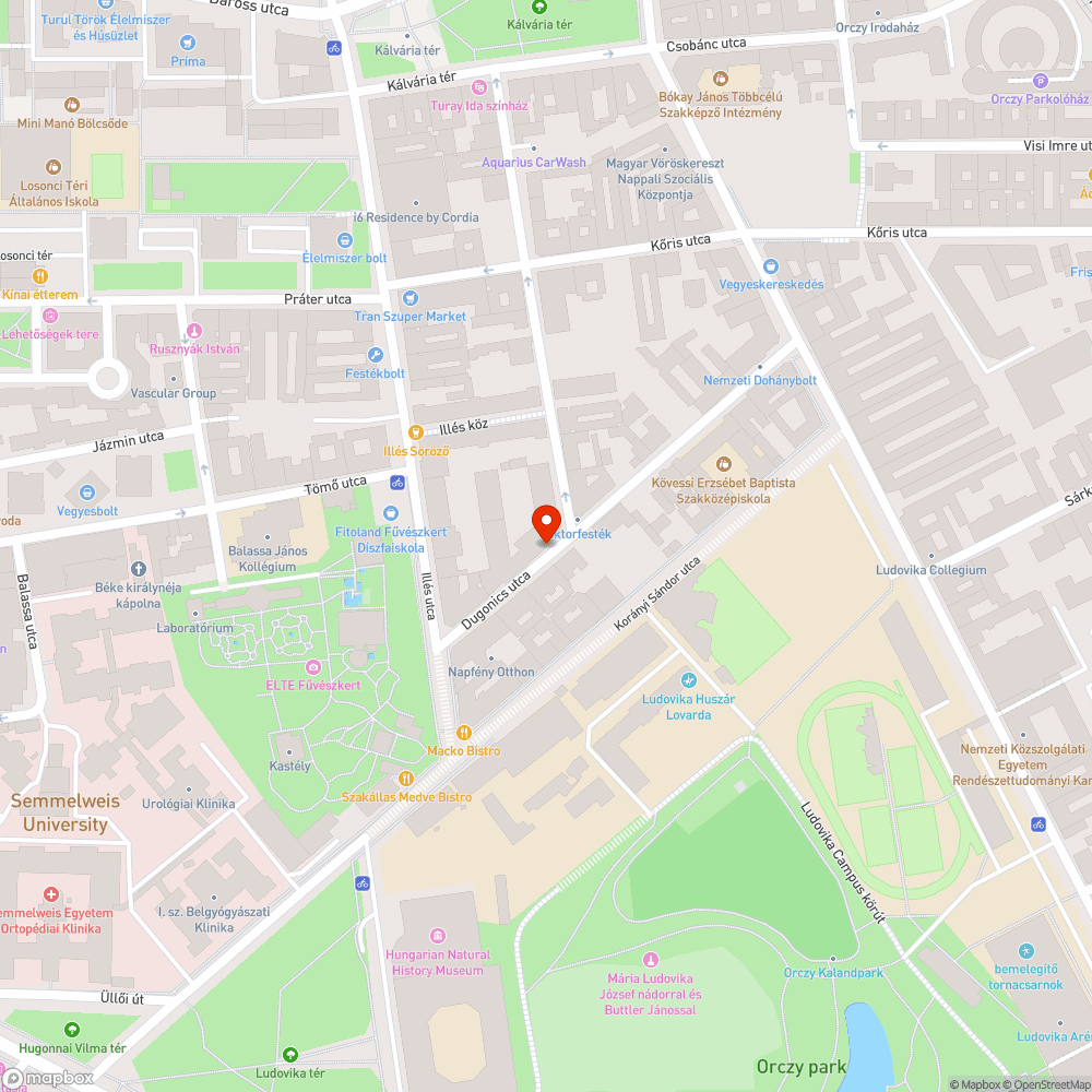 Koszos utca bejelentés helye