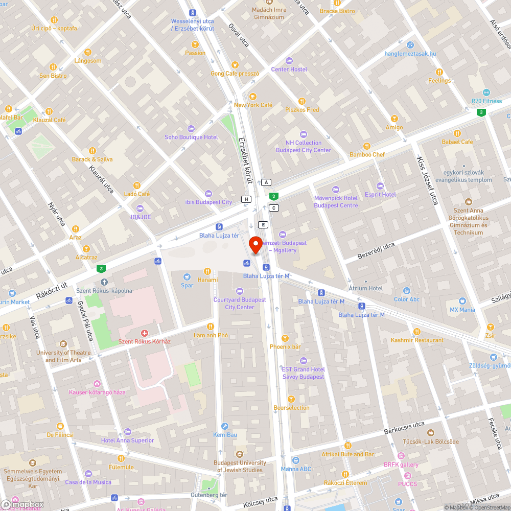 4-6  pótló megállója Blaha Lujza tér /Dél-Buda felé/ - facsonk bejelentés helye