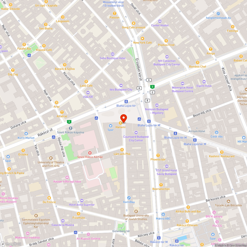 kátyú -  Budapest, Somogyi Béla u. 2, 1085 Hungary bejelentés helye