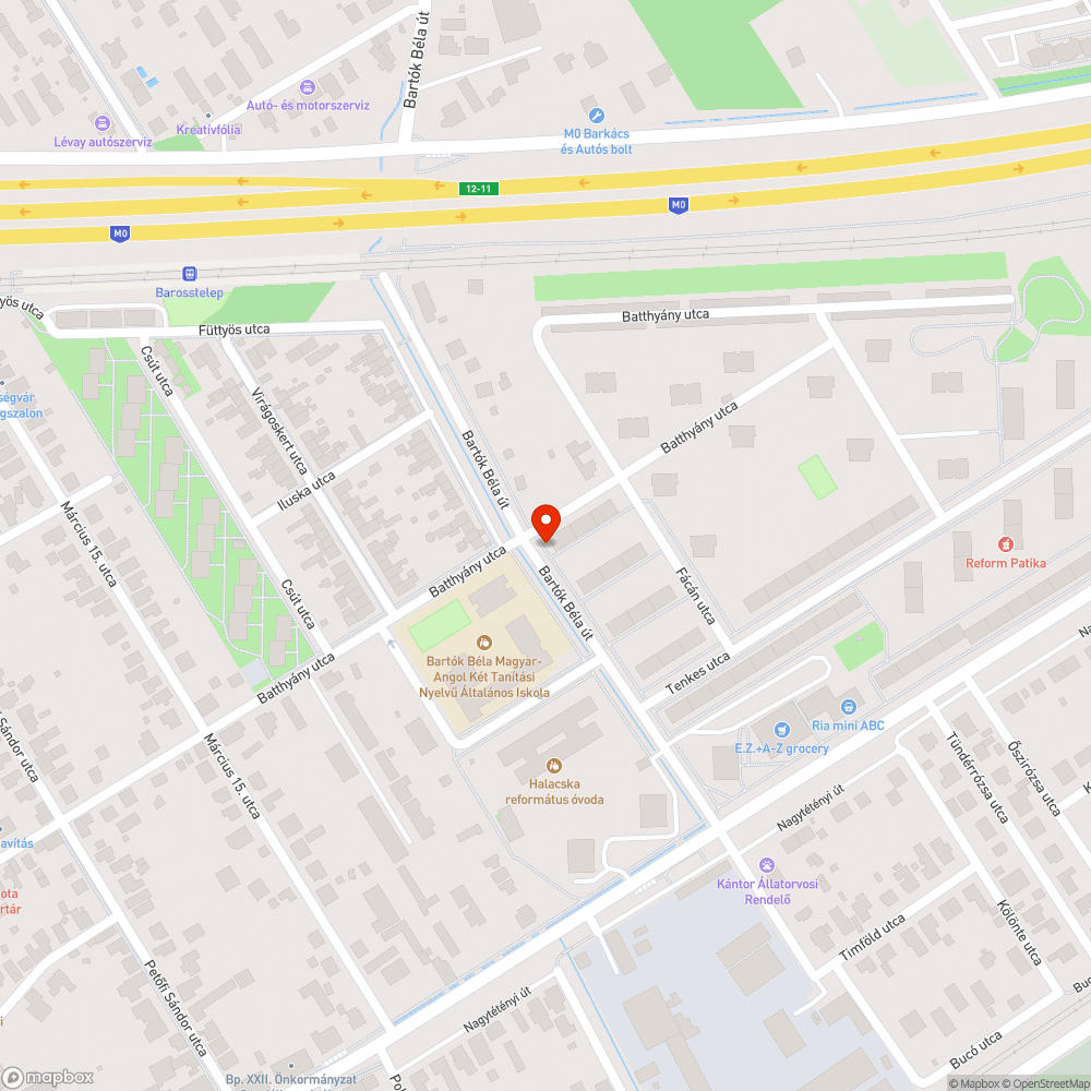 burjánzó növényzet a járdán bejelentés helye