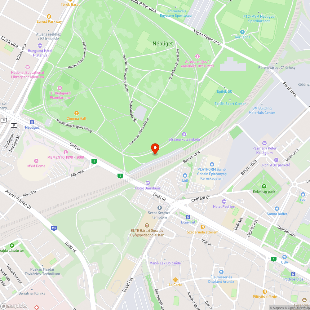 Eltömődött,gazos vízelvezetők a Népligetben bejelentés helye