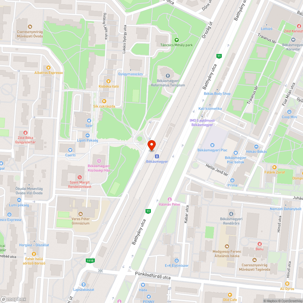 Kiszáradt, életveszélyes fa bejelentés helye