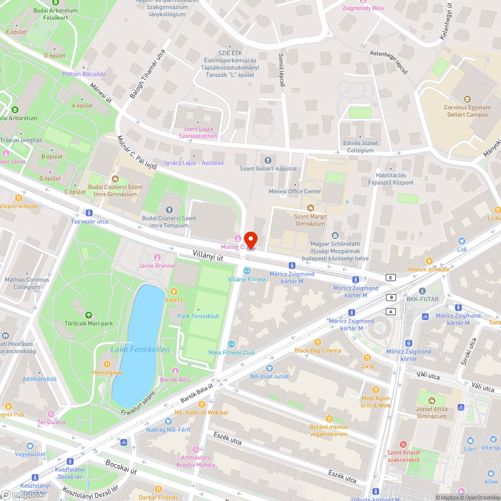 Villányi úti következetlen zebra előtti felfestések bejelentés helye