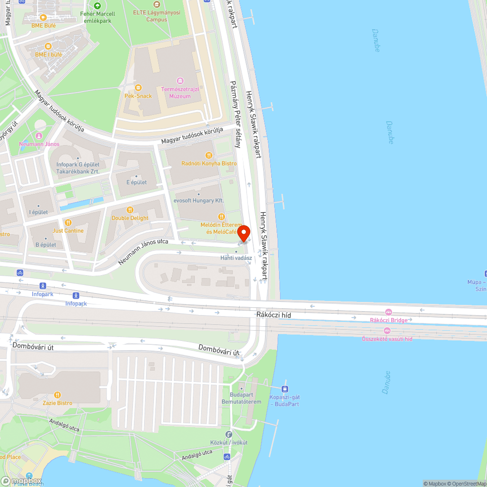 Rákóczi híd felhajtó - kerékpárútra belógó faágak bejelentés helye