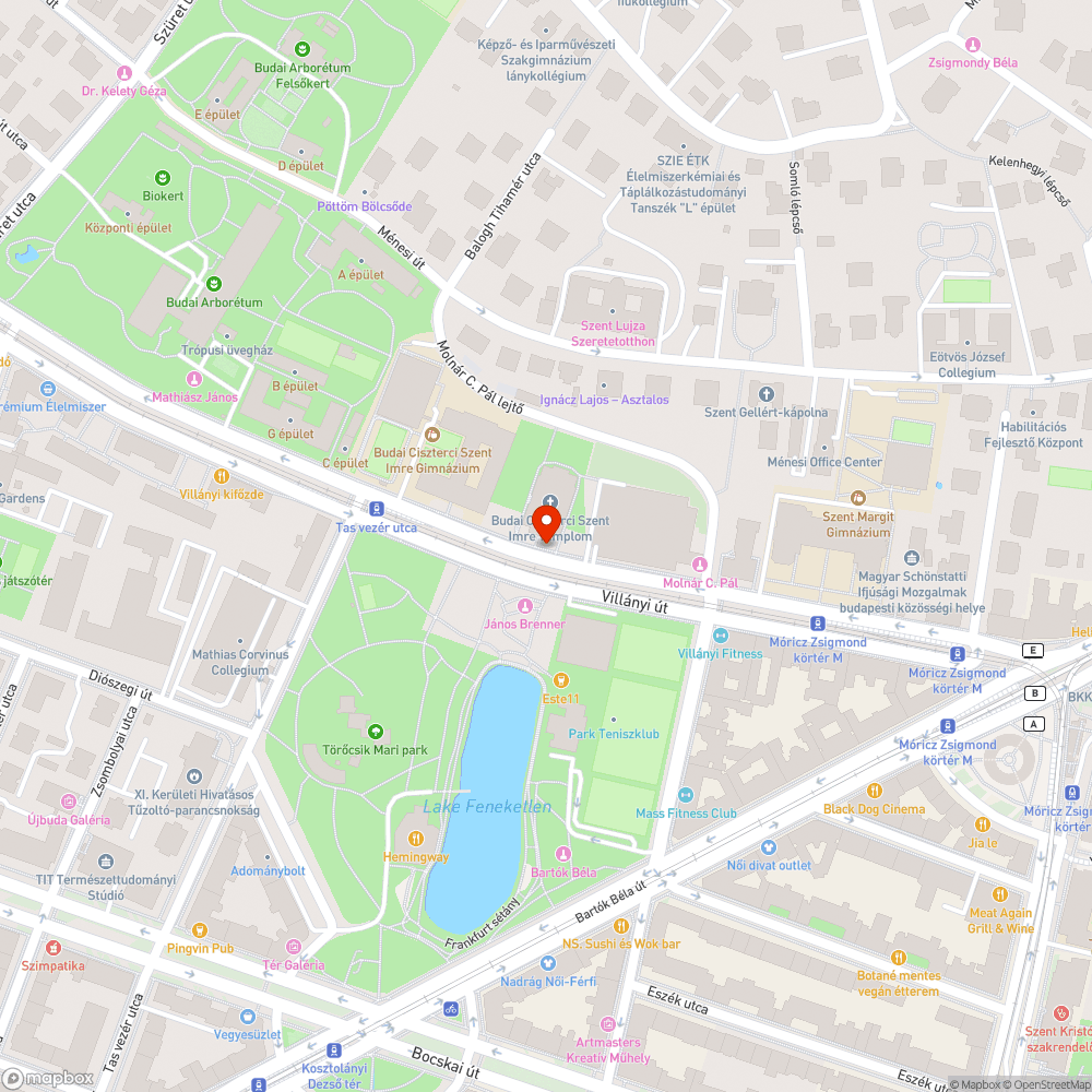 XI. Villányi út - Szent Imre templom előtt botlásveszélyes fedlap bejelentés helye