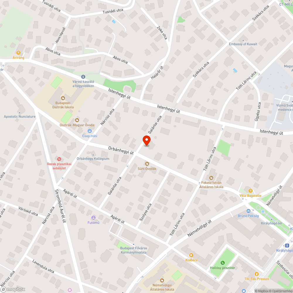 Másfél hónapja levágott ágak bejelentés helye