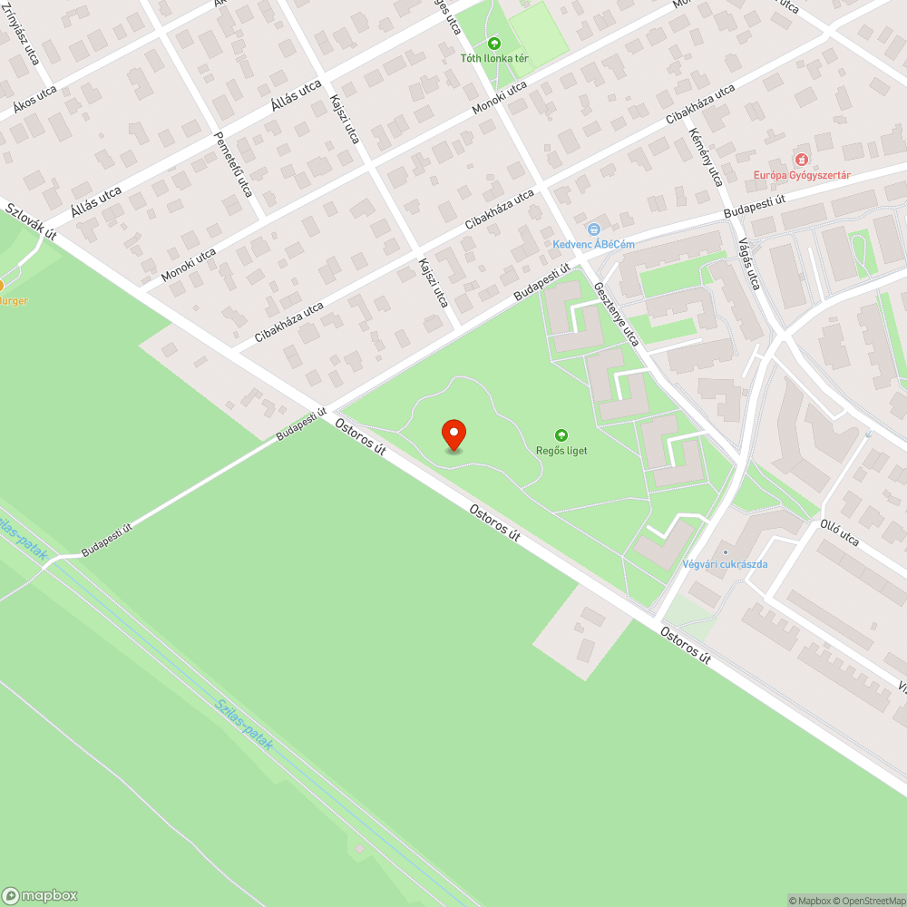 Regös liget elhanyagolt, törött pad, gondozatlan járdák bejelentés helye