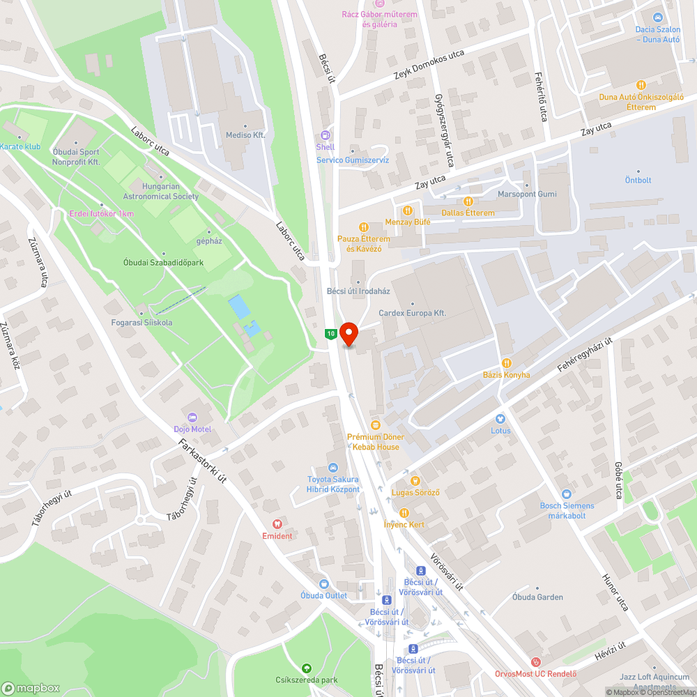 Elhalt bokor, ami zavarja a biztonságos kihajtást bejelentés helye