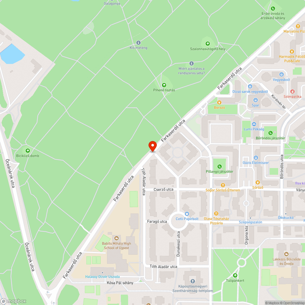 nincs buszváró bejelentés helye