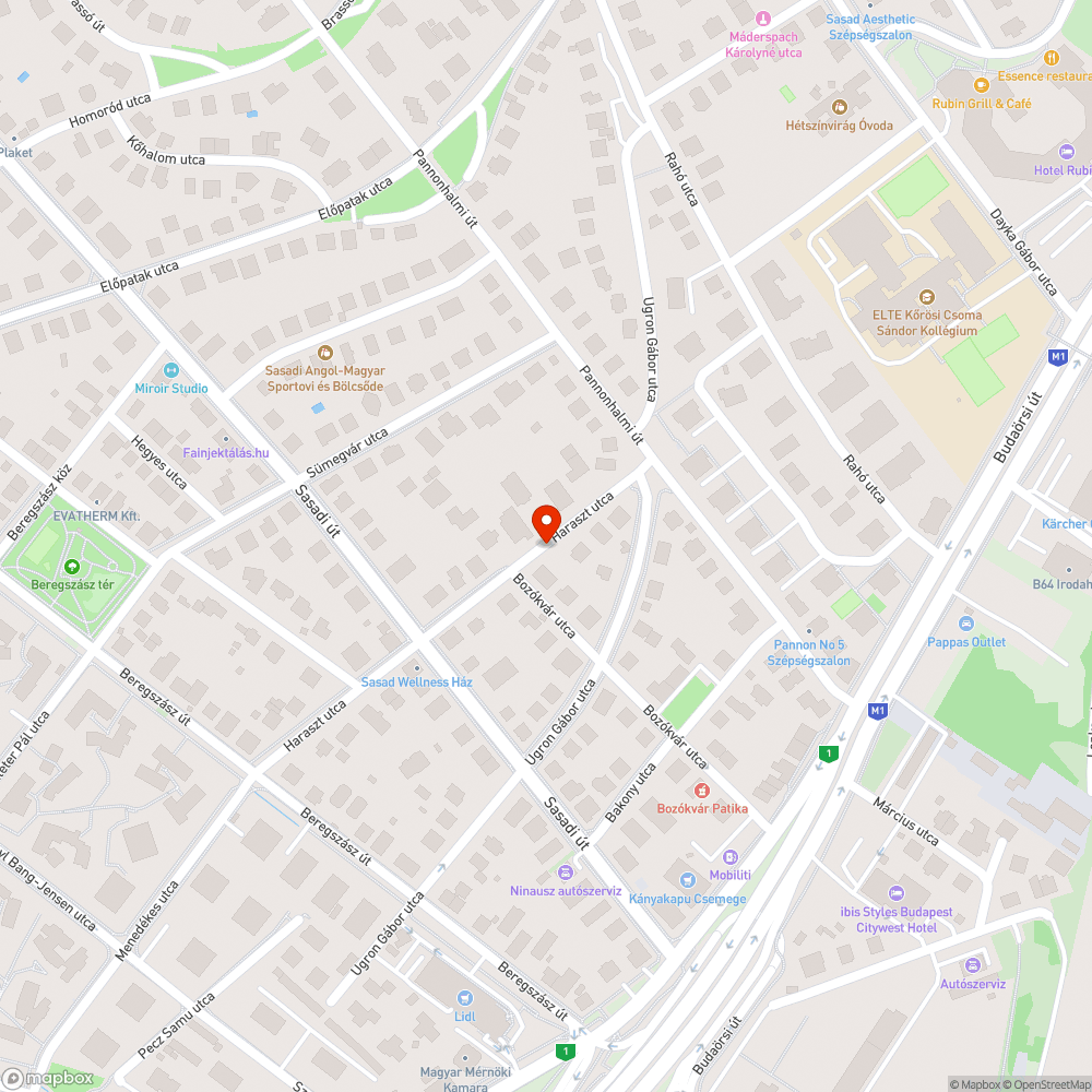 Haraszt utca burkolata takarításra szorul bejelentés helye