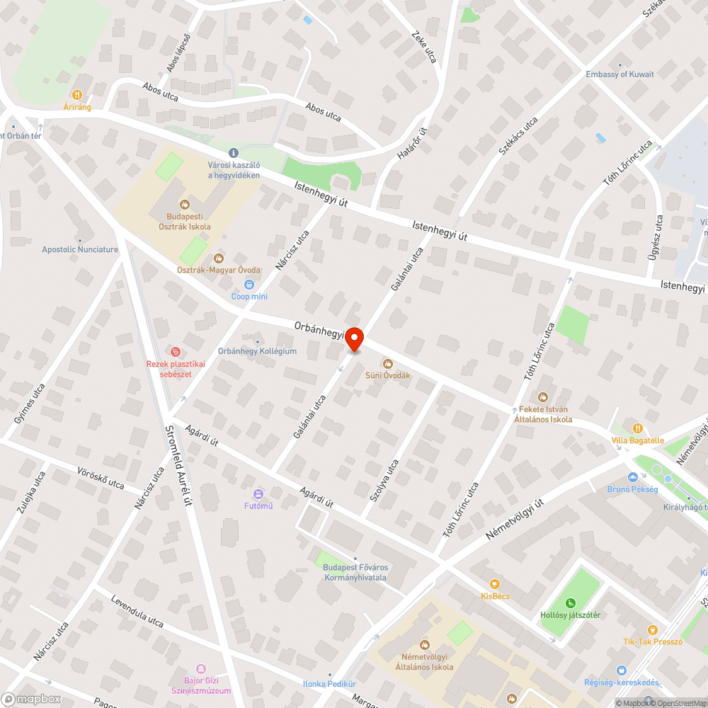 Gallyazás, favágás maradványainak helyszínen felejtése bejelentés helye