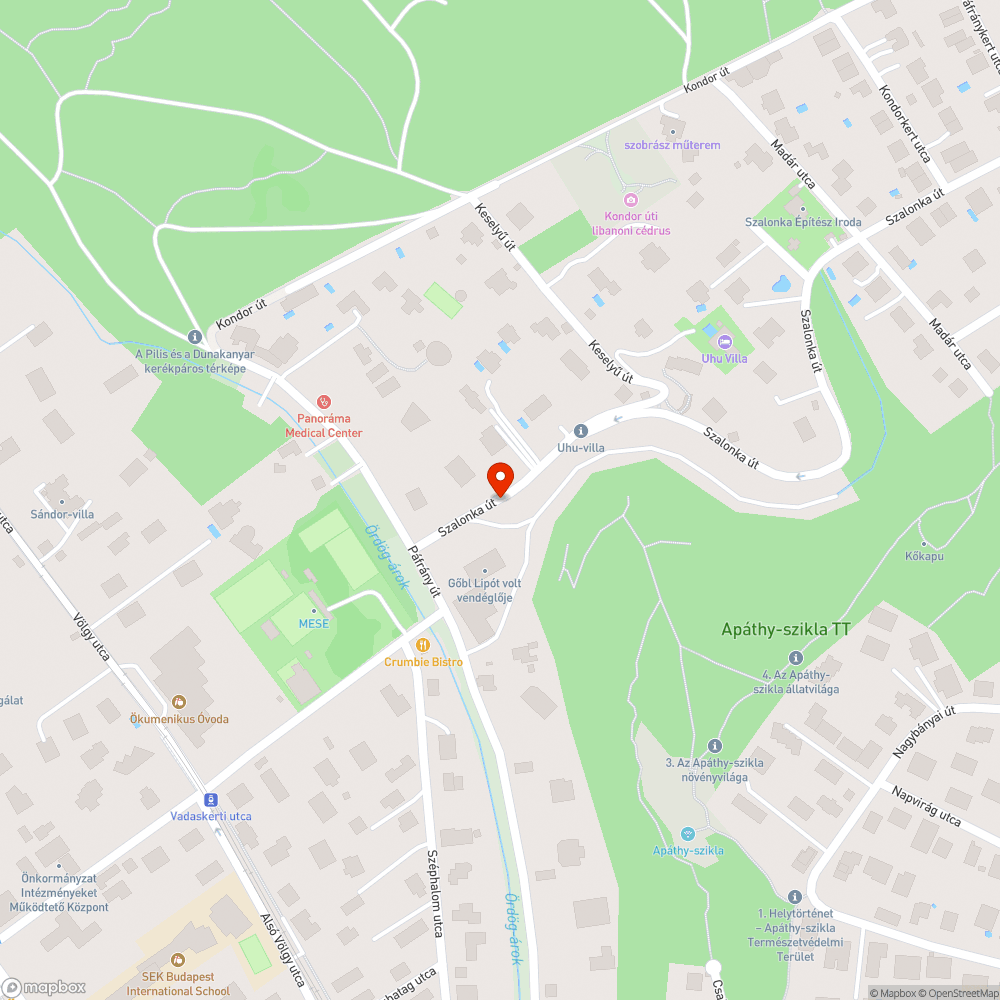 Elhanyagolt növényzet miatt járhatatlan, veszélyes járdaszakasz. bejelentés helye