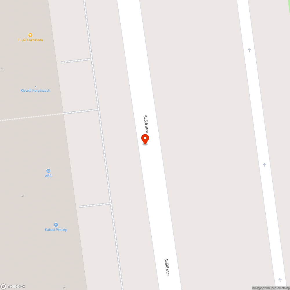 Magas fű a Szőlő utca közepén bejelentés helye