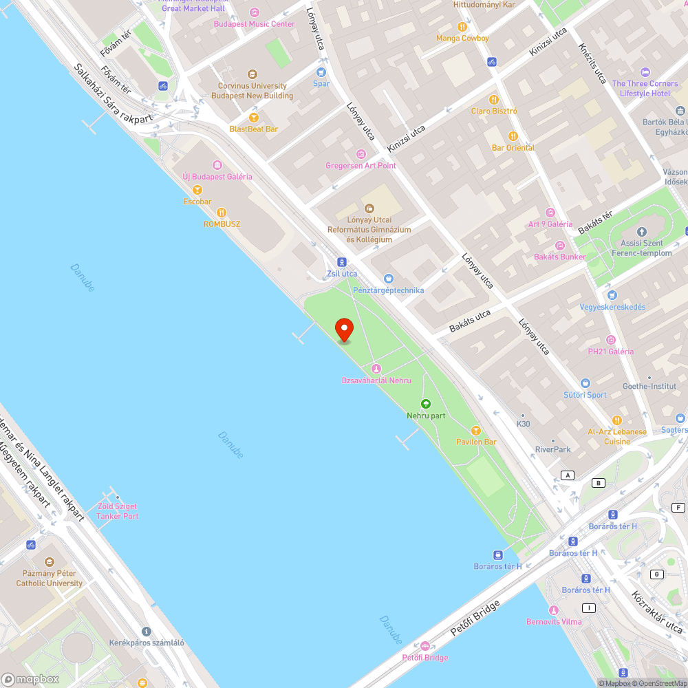 Kiszáradt fák a Nehru parton bejelentés helye