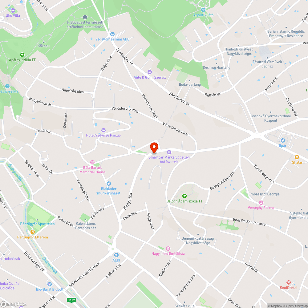 Buszmegálló felfestése bejelentés helye