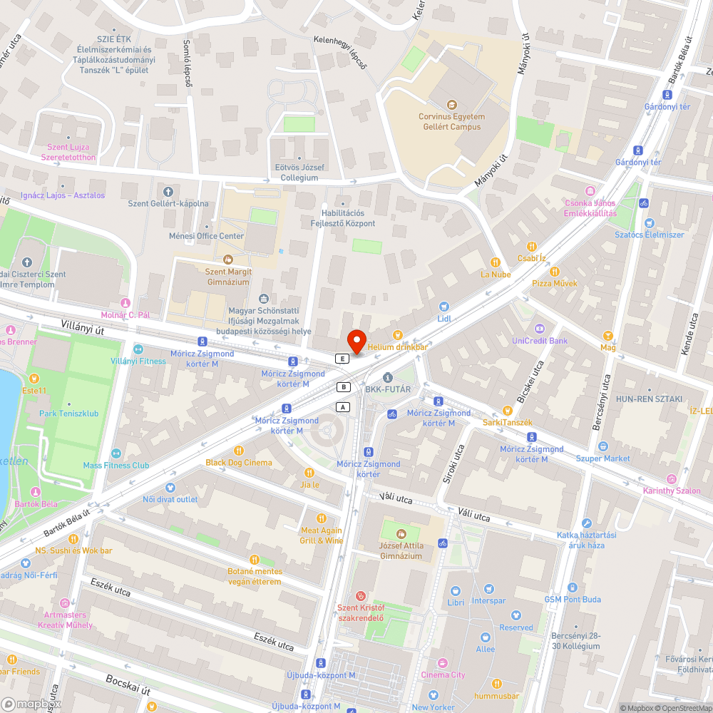 Térdig érő gaz és szemét a Móricz Zsigmond körtéren bejelentés helye