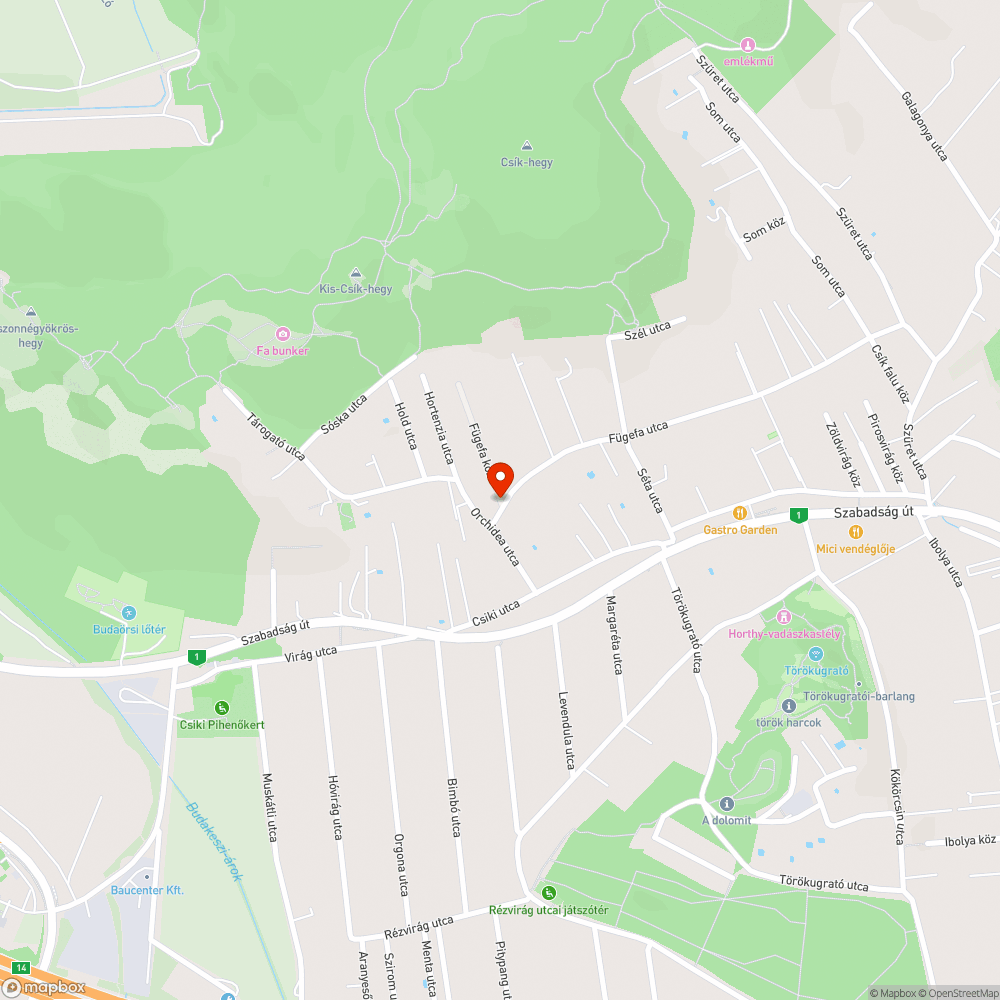 Növényzettel benőtt közvilágítás bejelentés helye