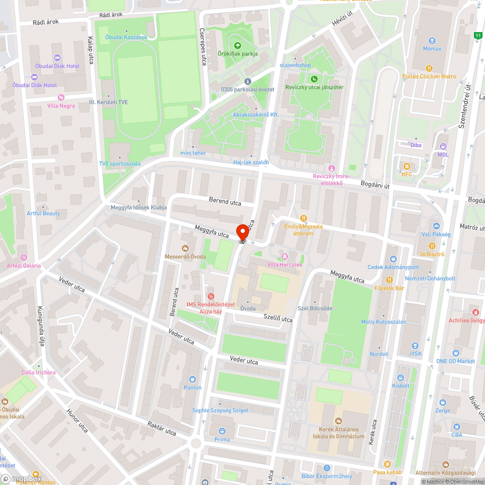 Kátyú (#3) - Vihar utca bejelentés helye