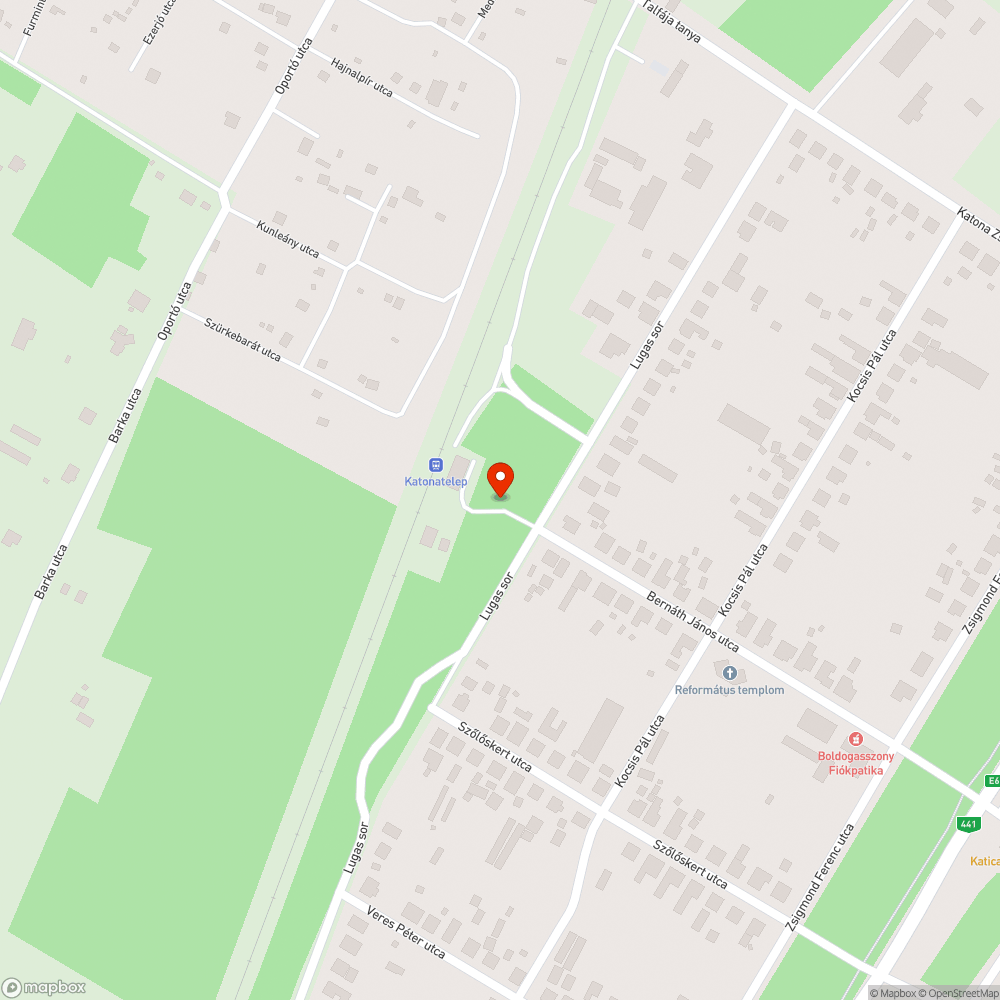 Elburjánzott dzsungel Katonatelepen, a vasútállomás felé vezető úton bejelentés helye