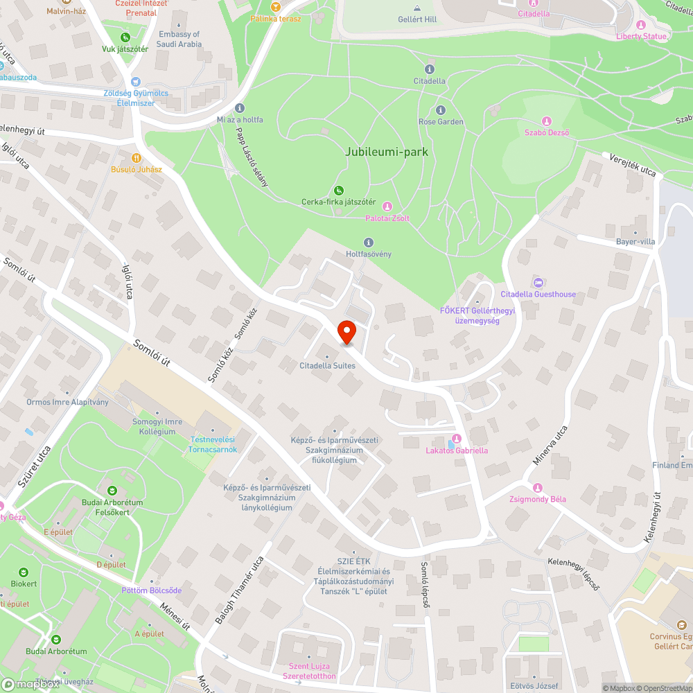 zöldhulladék az út mentén bejelentés helye