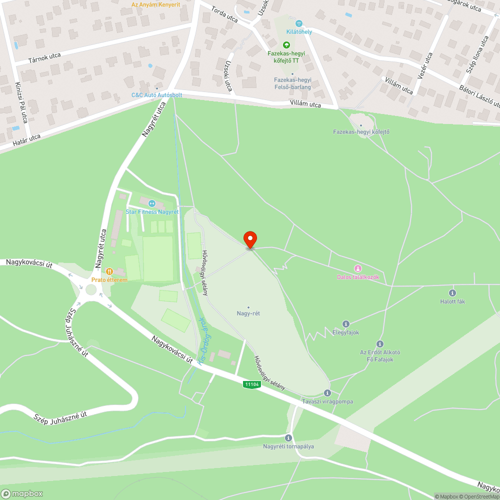 Eltűnt járda bejelentés helye