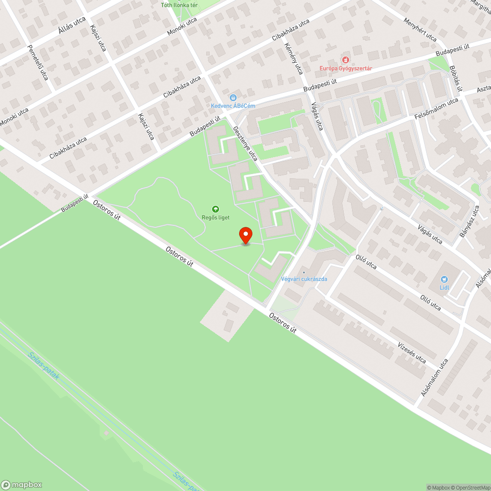 Kiszáradt fa bejelentés helye