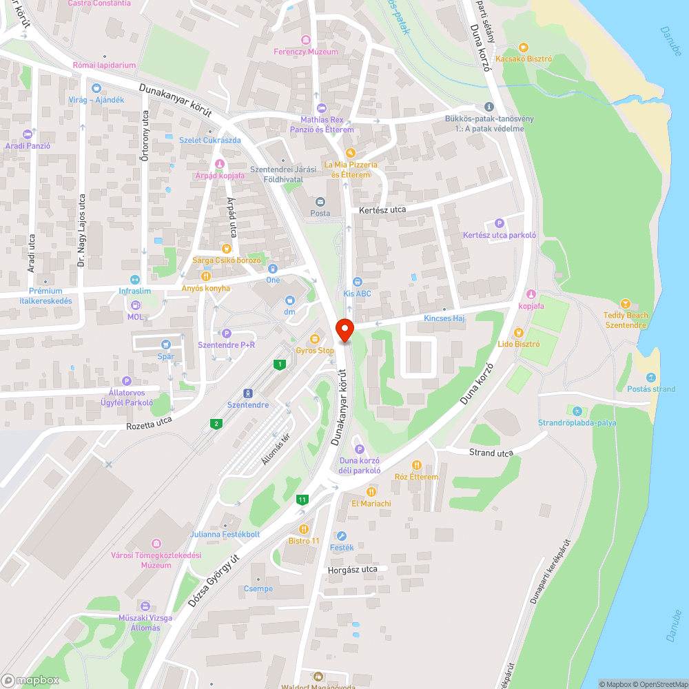 Graffitik a végállomás aluljárójának falán bejelentés helye