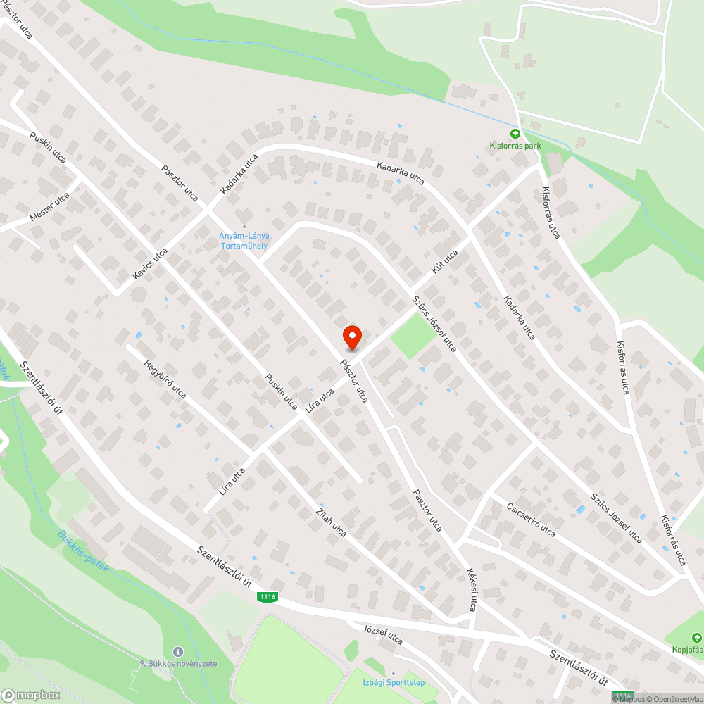 Szemét az utcán bejelentés helye