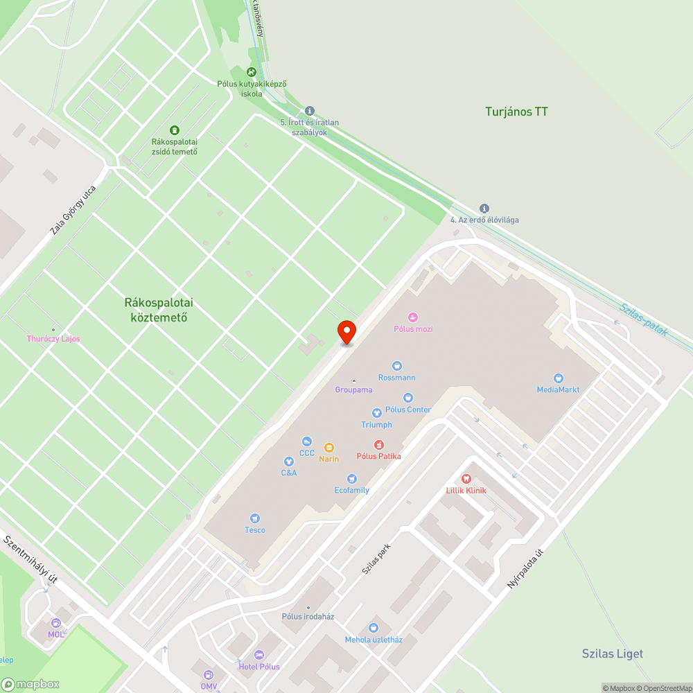 Kiszáradt fa bejelentés helye