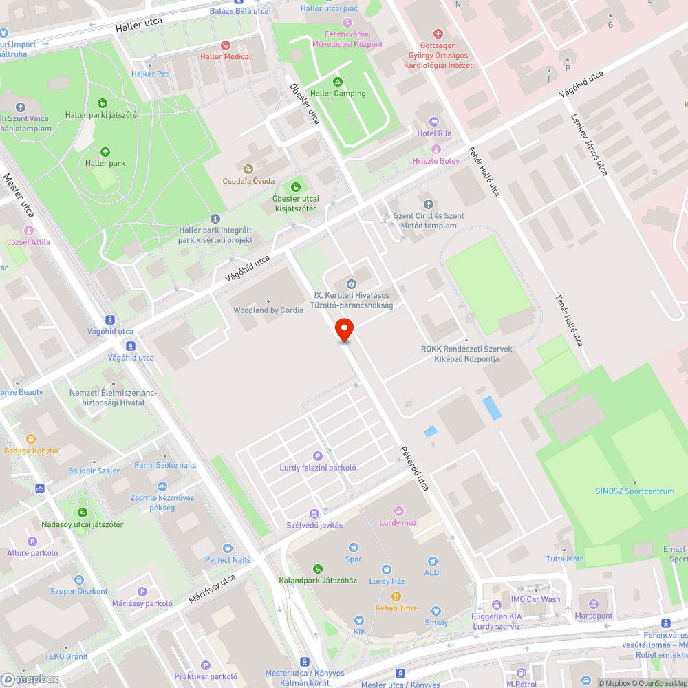 Útra dőlt fa bejelentés helye